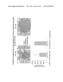 FULLY HUMAN ANTIBODIES TO HIGH MOLECULAR WEIGHT-MELANOMA ASSOCIATED     ANTIGEN AND USES THEREOF diagram and image