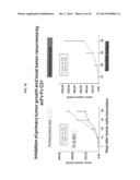 FULLY HUMAN ANTIBODIES TO HIGH MOLECULAR WEIGHT-MELANOMA ASSOCIATED     ANTIGEN AND USES THEREOF diagram and image