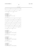 Ang-2 Binding Complexes and Uses Thereof diagram and image