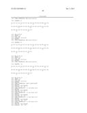 Ang-2 Binding Complexes and Uses Thereof diagram and image