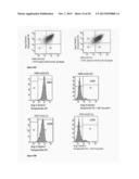 Ang-2 Binding Complexes and Uses Thereof diagram and image