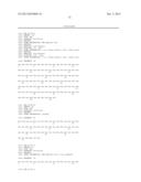 Ang-2 Binding Complexes and Uses Thereof diagram and image