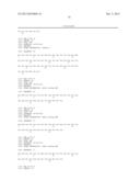 Ang-2 Binding Complexes and Uses Thereof diagram and image