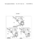 ACTH FOR TREATMENT OF AMYOTROPHIC LATERAL SCLEROSIS diagram and image