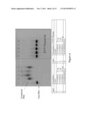 VACCINE COMPOSITION COMPRISING COMPLEXED IMMUNOSTIMULATORY NUCLEIC ACIDS     AND ANTIGENS PACKAGED WITH DISULFIDE-LINKED POLYETHYLENEGLYCOL/PEPTIDE     CONJUGATES diagram and image