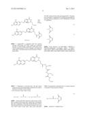 Conjugate of Folate and Antibody Preparation Method and Use Thereof diagram and image