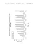 CLASS I MHC PHOSPHOPEPTIDES FOR CANCER IMMUNOTHERAPY AND DIAGNOSIS diagram and image