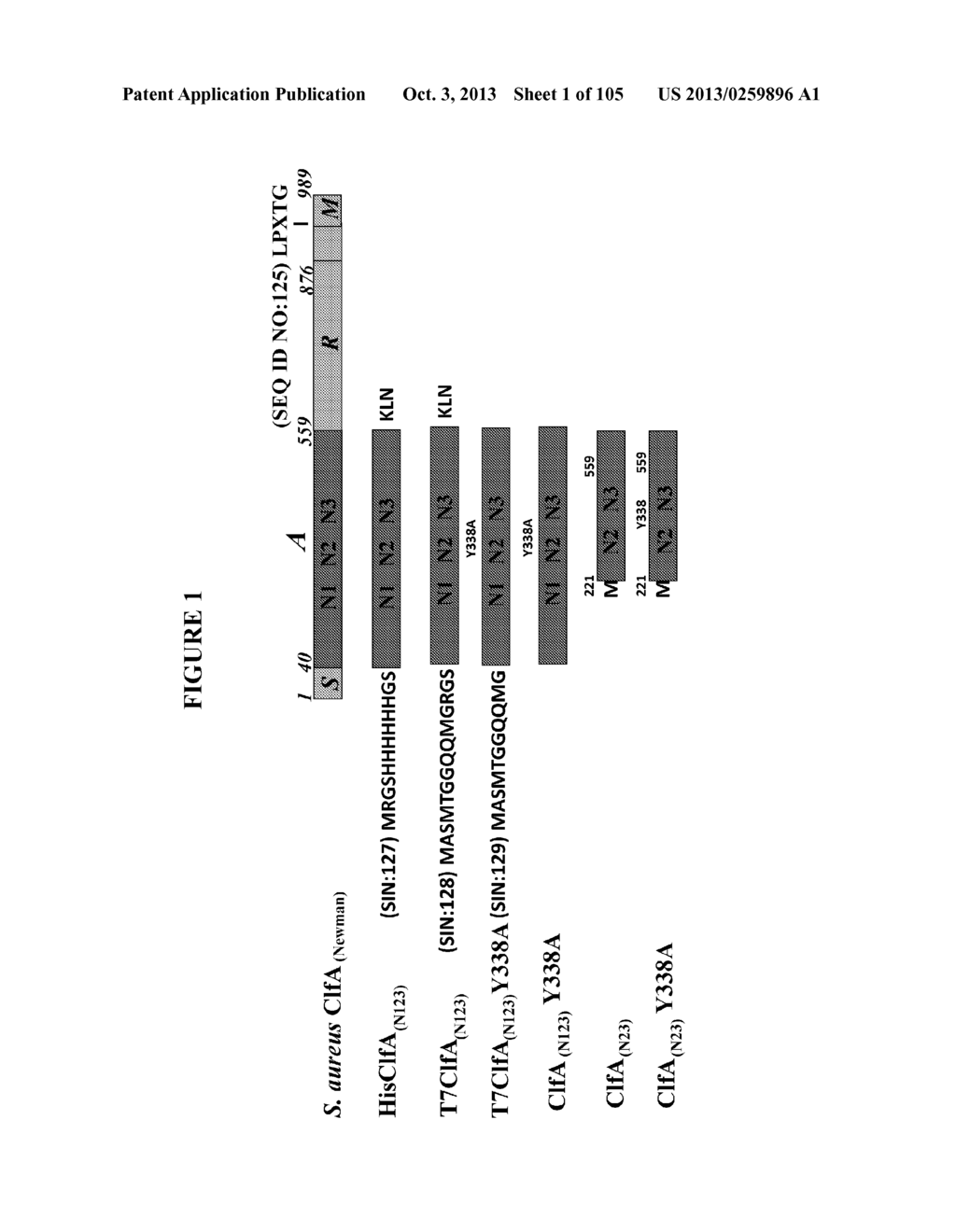 Stable Immunogenic Compositions of Staphylococcus Aureus Antigens - diagram, schematic, and image 02