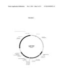 MODIFIED POLYNUCLEOTIDES FOR THE PRODUCTION OF SECRETED PROTEINS diagram and image