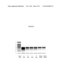 MODIFIED POLYNUCLEOTIDES FOR THE PRODUCTION OF SECRETED PROTEINS diagram and image