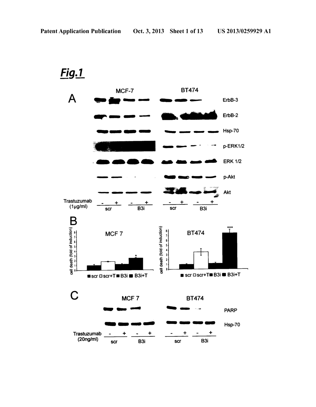 USE OF A PHOSPHOPEPTIDE ABLE TO BLOCK HER3/P85 INTERACTION FOR THE     TREATMENT OF HER2 HYPER-EXPRESSING TUMOURS - diagram, schematic, and image 02