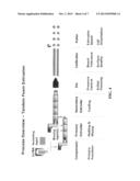 STATIC-DISSIPATIVE FOAM EXTRUSION CALIBRATION WITH MINIMIZED EXPANSION     LOSS diagram and image