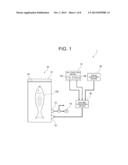 APPARATUS AND METHOD FOR STERILIZING AND PRESERVING FRESH PRODUCTS diagram and image