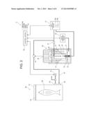 APPARATUS AND METHOD FOR STERILIZING AND PRESERVING FRESH PRODUCTS diagram and image