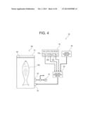 APPARATUS AND METHOD FOR STERILIZING AND PRESERVING FRESH PRODUCTS diagram and image