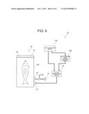 APPARATUS AND METHOD FOR STERILIZING AND PRESERVING FRESH PRODUCTS diagram and image