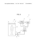 APPARATUS AND METHOD FOR STERILIZING AND PRESERVING FRESH PRODUCTS diagram and image