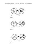 COATED SENSORS AND METHODS RELATED THERETO diagram and image