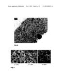 GENERATION OF NANODISPERSE INCLUSIONS IN A HIGH-VISCOSITY MATRIX diagram and image