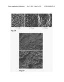 GENERATION OF NANODISPERSE INCLUSIONS IN A HIGH-VISCOSITY MATRIX diagram and image