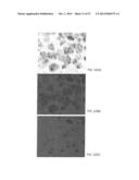 SIGNALING CONJUGATES AND METHODS OF USE diagram and image