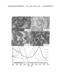 SIGNALING CONJUGATES AND METHODS OF USE diagram and image