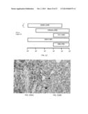 SIGNALING CONJUGATES AND METHODS OF USE diagram and image