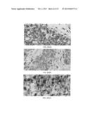 SIGNALING CONJUGATES AND METHODS OF USE diagram and image