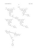 SIGNALING CONJUGATES AND METHODS OF USE diagram and image