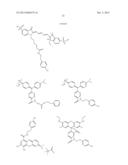 SIGNALING CONJUGATES AND METHODS OF USE diagram and image