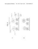 HOLOGRAPHIC FLUCTUATION MICROSCOPY APPARATUS AND METHOD FOR DETERMINING     MOBILITY OF PARTICLE AND/OR CELL DISPERSIONS diagram and image