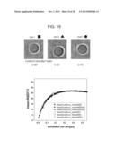 HOLOGRAPHIC FLUCTUATION MICROSCOPY APPARATUS AND METHOD FOR DETERMINING     MOBILITY OF PARTICLE AND/OR CELL DISPERSIONS diagram and image