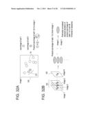 HOLOGRAPHIC FLUCTUATION MICROSCOPY APPARATUS AND METHOD FOR DETERMINING     MOBILITY OF PARTICLE AND/OR CELL DISPERSIONS diagram and image