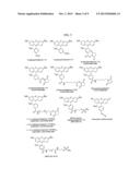 FLUORESCENT LABELING OF LIVING CELLS diagram and image