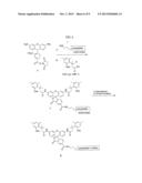 FLUORESCENT LABELING OF LIVING CELLS diagram and image