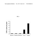 CELL-BASED ANTIOXIDANT PROTECTION ASSAY diagram and image