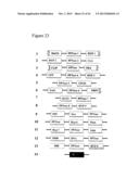 Methods of Identifying and Characterizing Natural Product Gene Clusters diagram and image