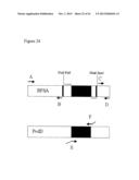 Methods of Identifying and Characterizing Natural Product Gene Clusters diagram and image