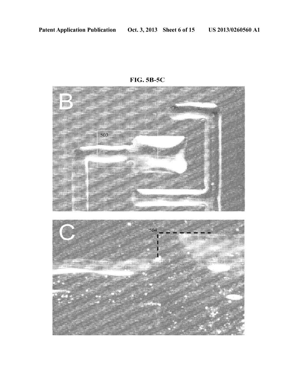 Patterning Processes Comprising Amplified Patterns - diagram, schematic, and image 07