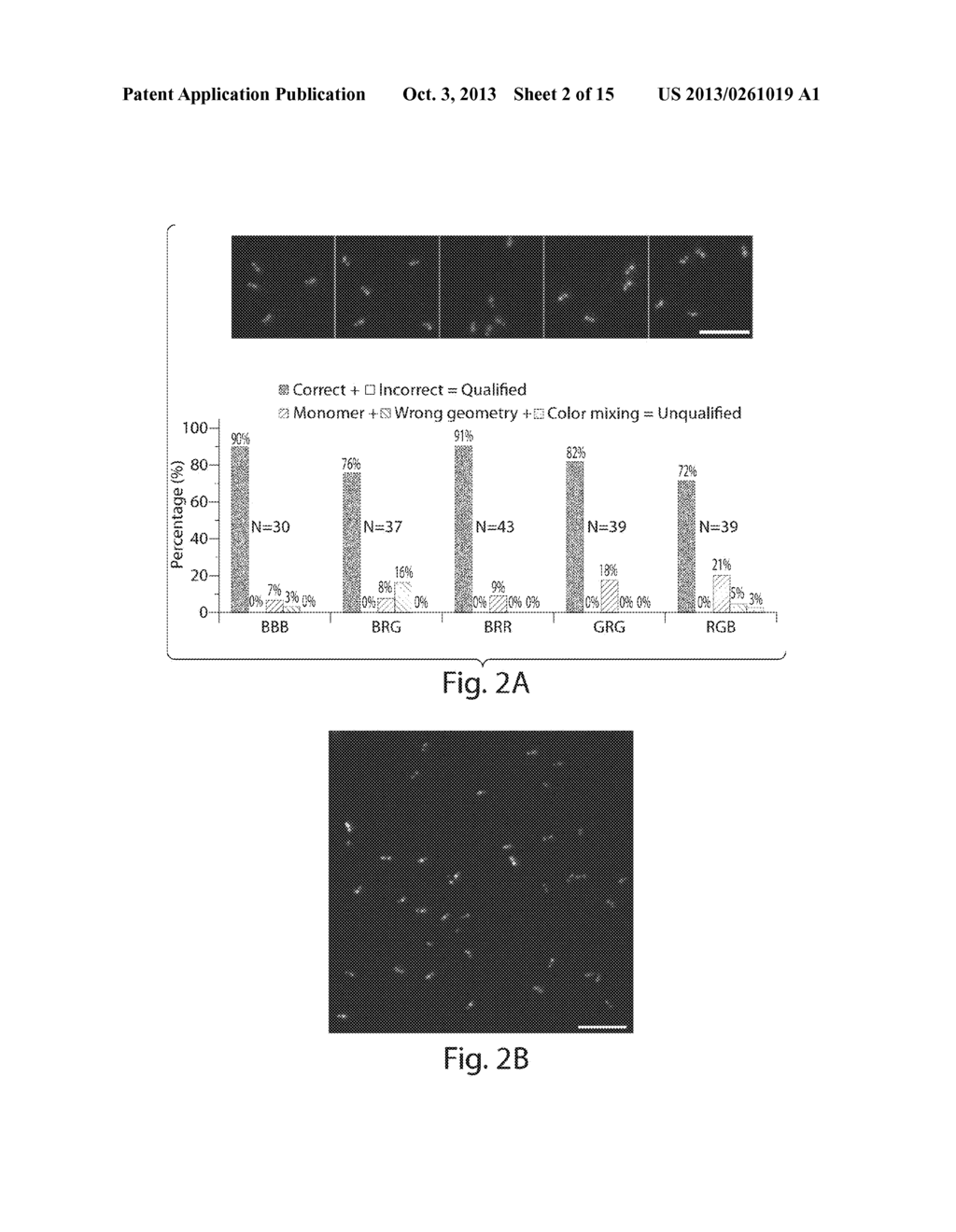 NUCLEIC ACID NANOSTRUCTURE BARCODE PROBES - diagram, schematic, and image 03