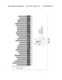 NUCLEIC ACID NANOSTRUCTURE BARCODE PROBES diagram and image