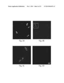 NUCLEIC ACID NANOSTRUCTURE BARCODE PROBES diagram and image