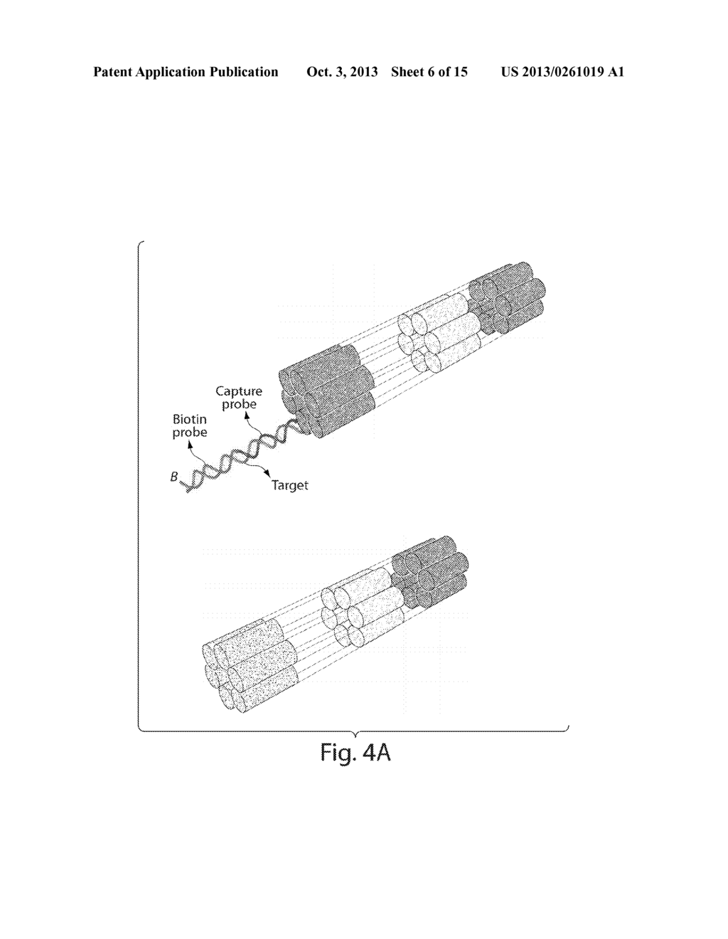 NUCLEIC ACID NANOSTRUCTURE BARCODE PROBES - diagram, schematic, and image 07