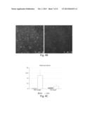 NUCLEIC ACID NANOSTRUCTURE BARCODE PROBES diagram and image