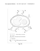 NUCLEIC ACID NANOSTRUCTURE BARCODE PROBES diagram and image