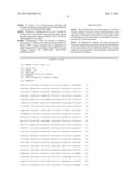 NUCLEIC ACID NANOSTRUCTURE BARCODE PROBES diagram and image