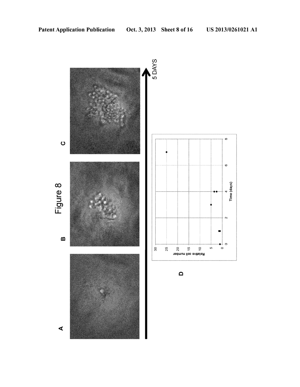 MICROANALYSIS OF CELLULAR FUNCTION - diagram, schematic, and image 09