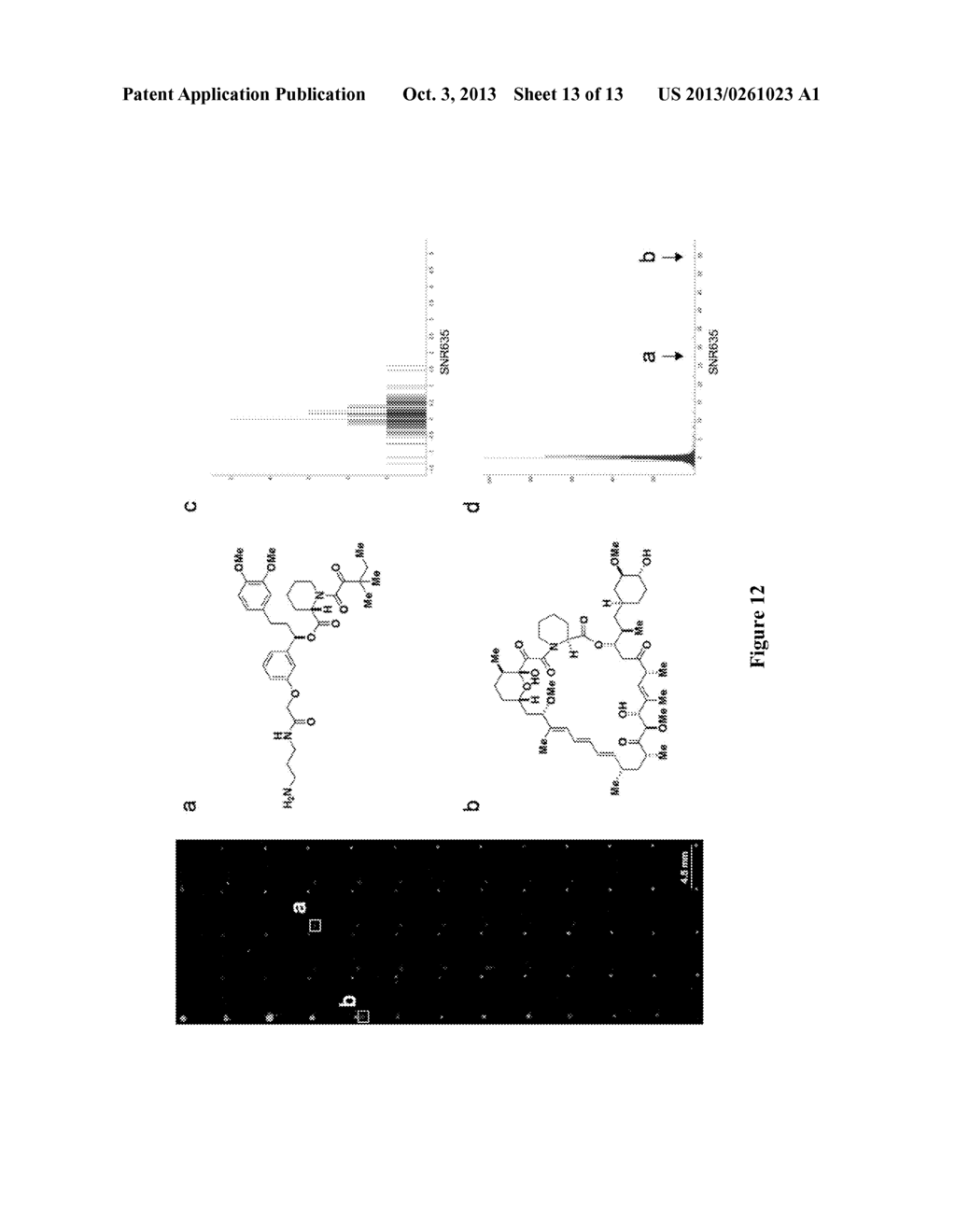 SMALL MOLECULE PRINTING - diagram, schematic, and image 14