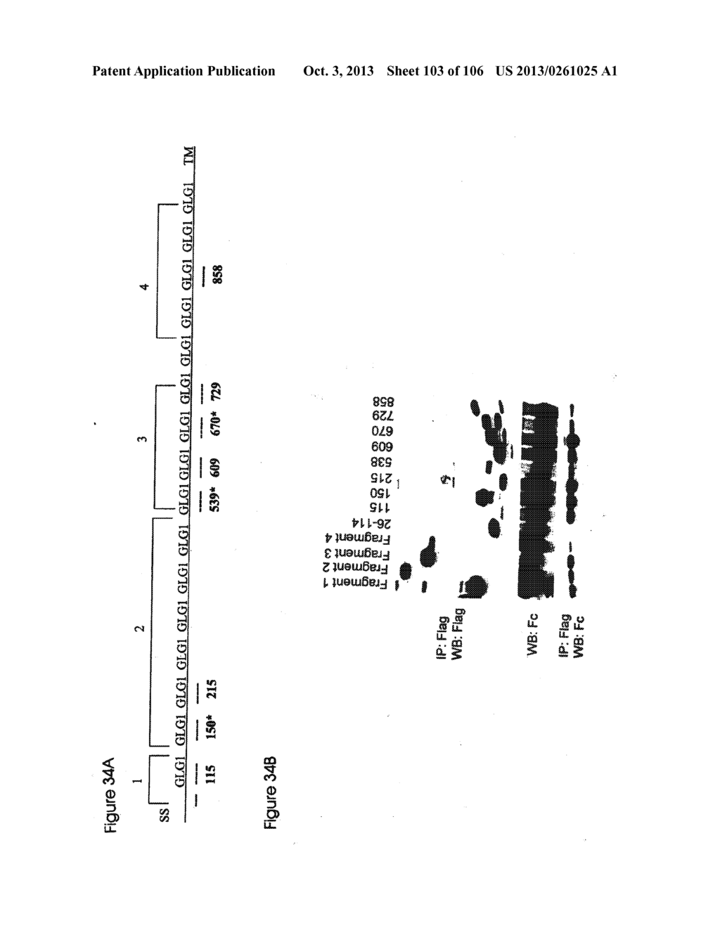 METHODS FOR DETECTING INFLAMMATORY BOWEL DISEASE - diagram, schematic, and image 104