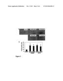 ACCELERATION OF WOUND HEALING BY GROWTH HORMONE RELEASING HORMONE AND ITS     AGONISTS diagram and image